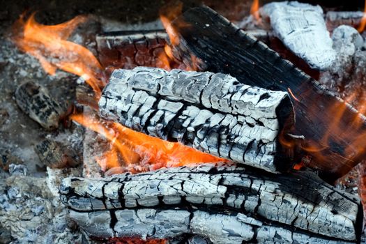 flames of a campfire background