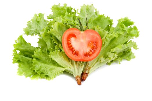 tomato in leaf salad , isolated on white background
