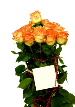 roses bouquet close-up isolated on white background
