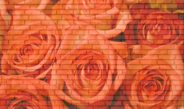 roses brick wall background. Many old bricks .