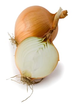 onion close-up isolated on white background
