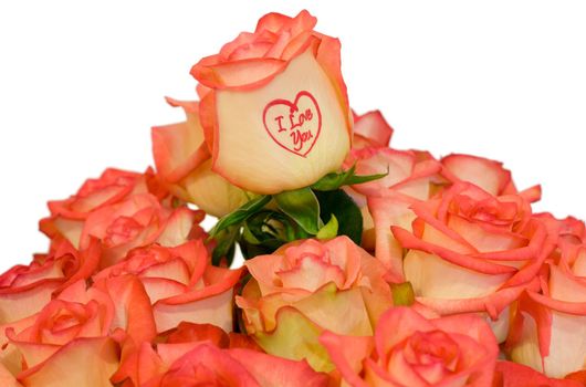 Bouquet of the roses,one rose is signed "I Love You""