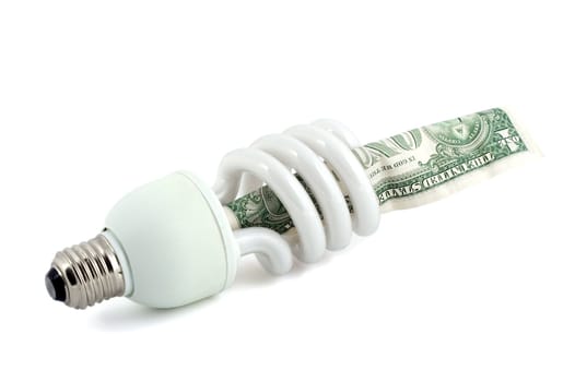 fluorescent lamp energy saving close-up isolated on white background