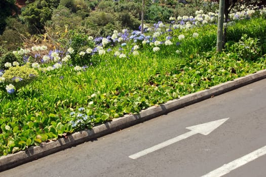 a road to Madeira, yet a nice hill to climb