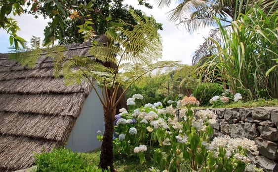 thatched roof of a typical house of Madeira