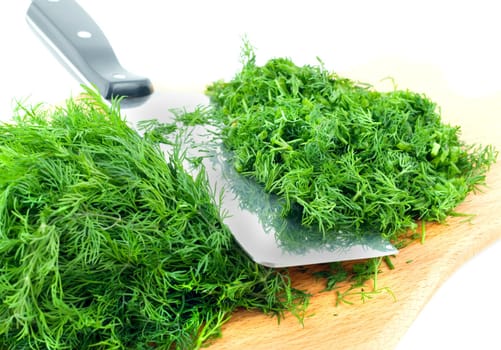 dill herb cut ,isolated on green background