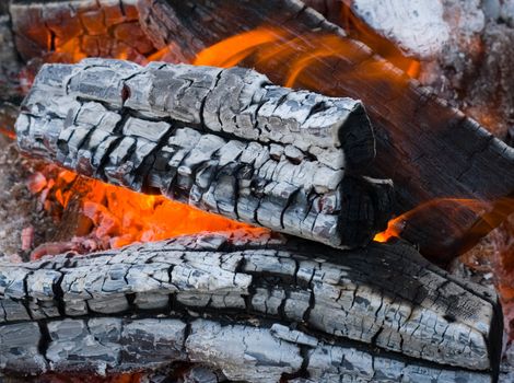 Burninging firewood ,background campfires
