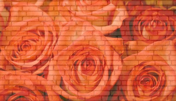 bricks wall roses background. texture old bricks .