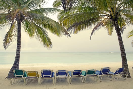 Deck chairs on the beach with palm trees and ocean