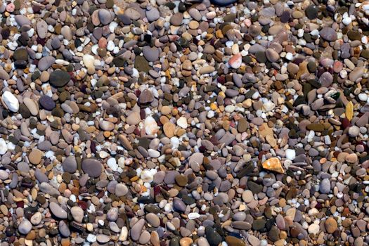 pebbles wet on a sea beach background