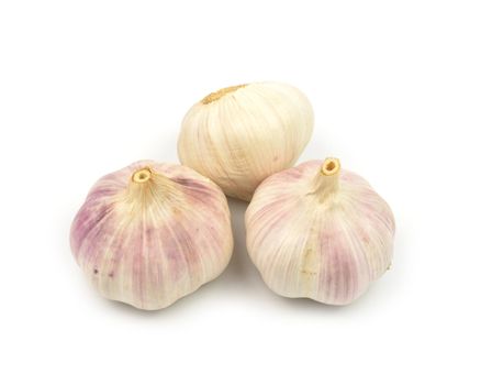 garlic isolated on white background