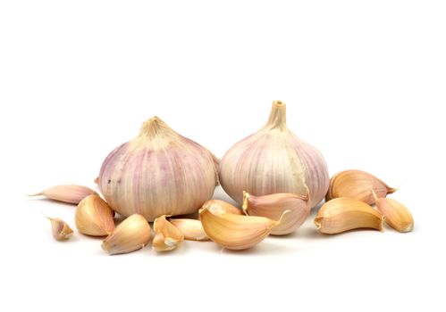 garlic isolated on white background