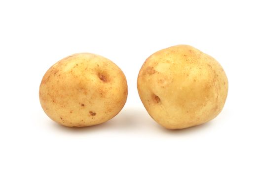 potato isolated on white background