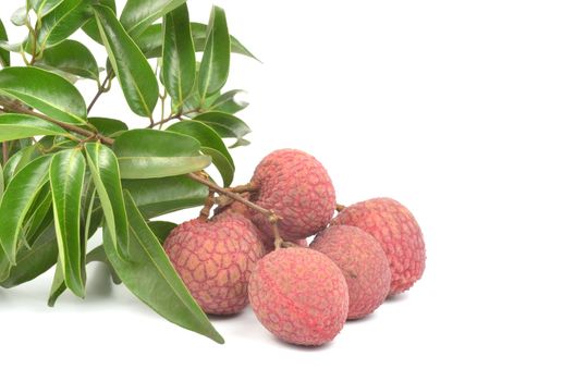 Fresh lychees isolated on white background