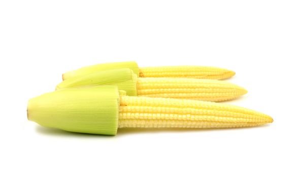 baby corn isolated on white background