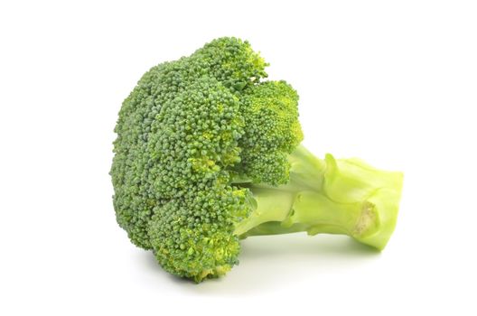 Broccoli isolated on White Background 