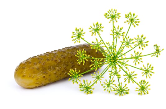 Marinated cucumber with green dill, isolated on white