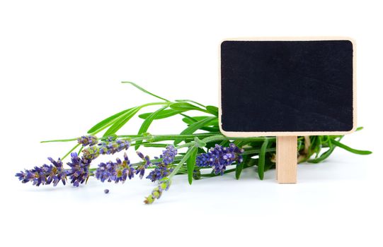 a bunch of lavender flowers with letter plate, on a white background