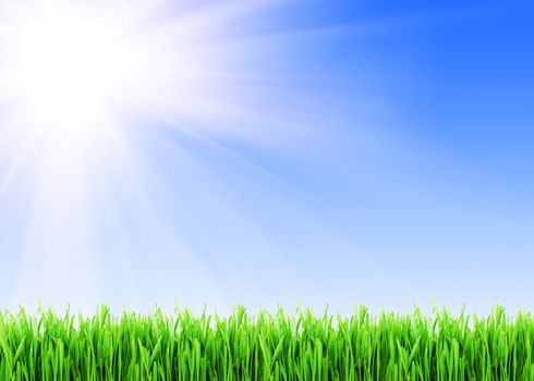 Fresh green grass under blue sky