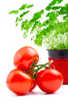 Red tomato with parsley isolated on white background.