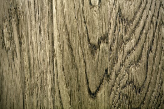 Old wooden texture, close up