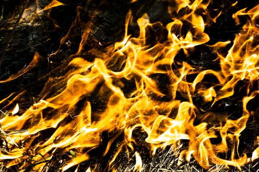Flame burning on black background