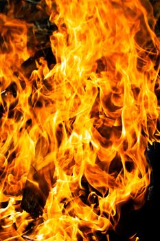 Orange flame burning on black background