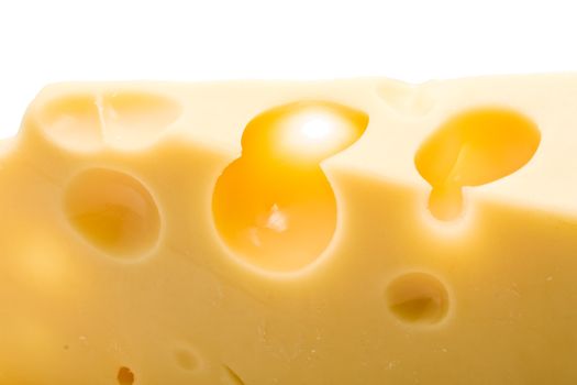 Cheese