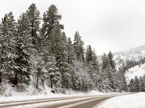 Cold day up in the mountains with a road that people have gone over. Scene is covered in snow.