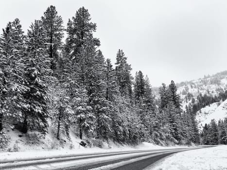 Photo has a slight blue tint and is showing a mountain pass in the mountains.
