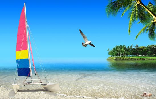 Tropical beach: ocean sea and tropical beach with with boat and palm trees