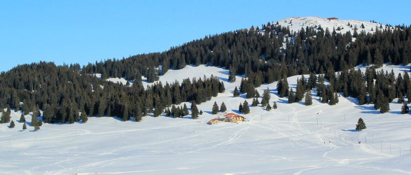 Fir trees woods and chalet in Jura mountain by beautiful winter day, Switzerland
