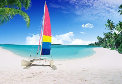 Tropical beach with boat and palm tree
