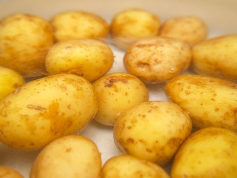 Closeup of potatoes boiling in a kettle