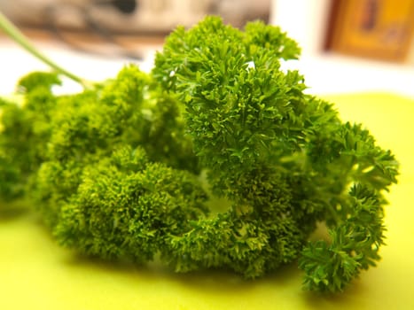 Closeup of fresh green parsley, on green chop board