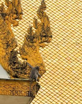 Details of roof on Royal Palace in Phnom Penh Cambodia with monkey climbing on statue