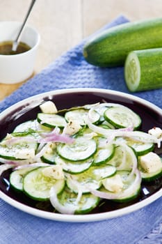 Cucumber with Feta and herb salad