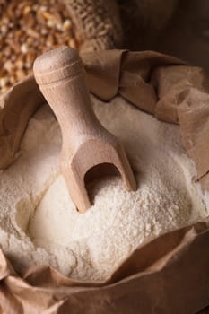 Meal in sack with wooden spoon closeup