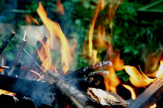 Flaming wooden coal logs of camping fireplace