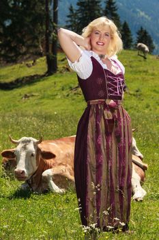 Young woman in a dirndl in an alpine meadow with cows