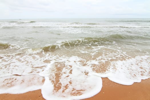 sand  on the tropical beach