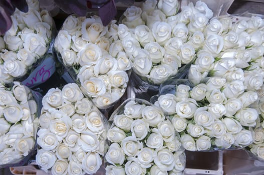 white roses for selling at a shop