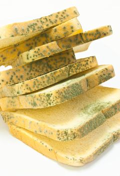 moldy bread that is harmful to your health