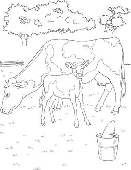 coloring cow and calf