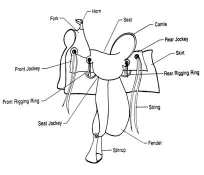 Saddle diagram in black and white.