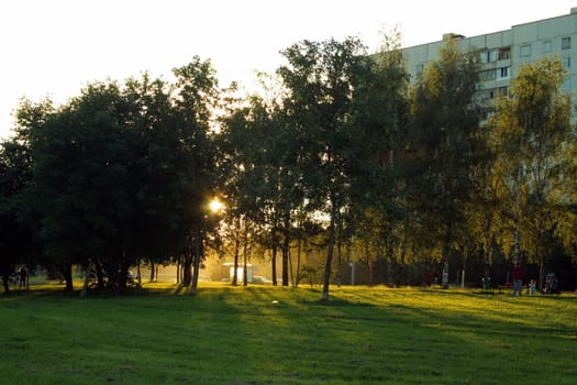 Green lawn in city park under sunny light