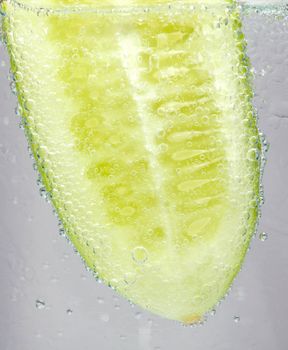 Cucumber in the water.