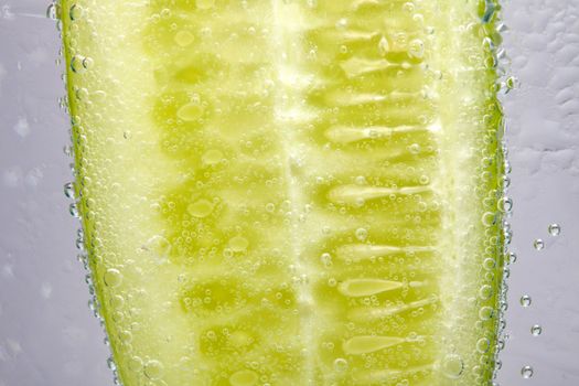 Cucumber in the water.