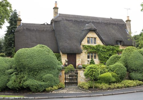 Beautiful upper class cottage with thatched roof and funny cut hedges in the village of Chipping Campden, Cotswold, United Kingdom.
