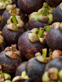 Pile of mangosteen in a market in Thailand